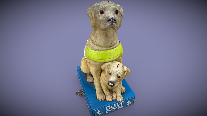 Guide dogs for the blind 3D Model