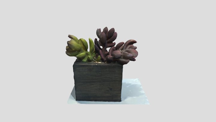 Textured 3D Model
