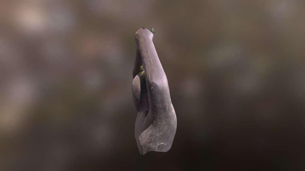 Head_2