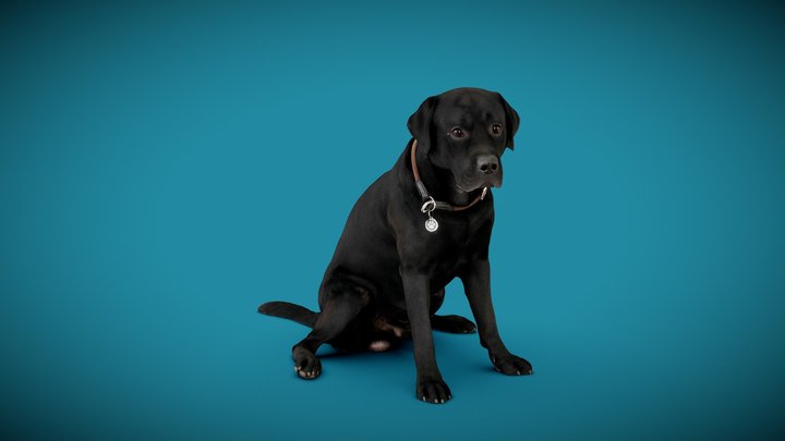 DOG A - 1of6 - for free // happy new year 2022 3D Model