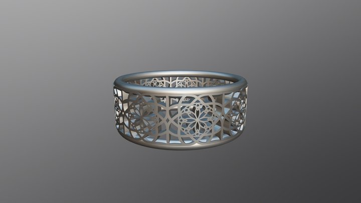 Ring Rev 3D Model