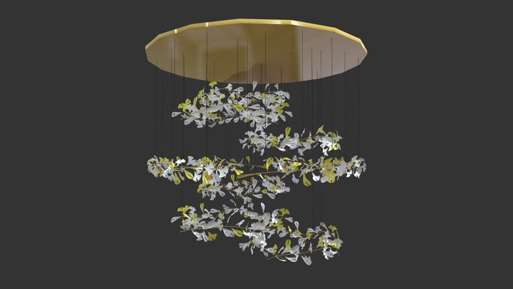 Project 3D Model