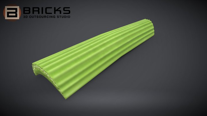 Celery Slice 3D Model