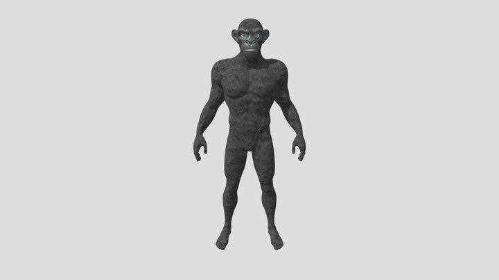 Ape Test 3D Model