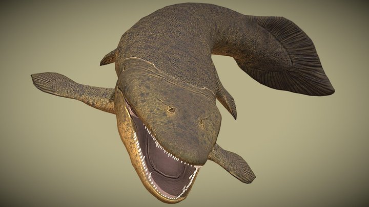 Tiktaalik roseae – Kostenloses 3D-Modell STL