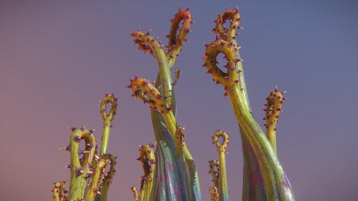 Cactuses [DWoX] 3D Model