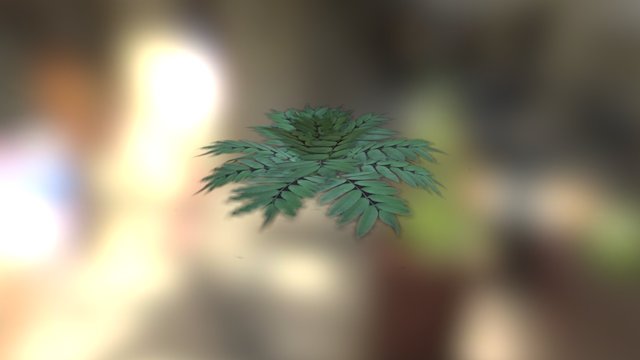 Plant 2 3D Model