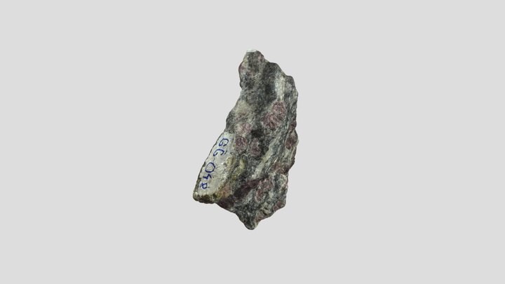 GG 48 - Gneiss