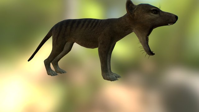 Thylacine Pup test 3D Model