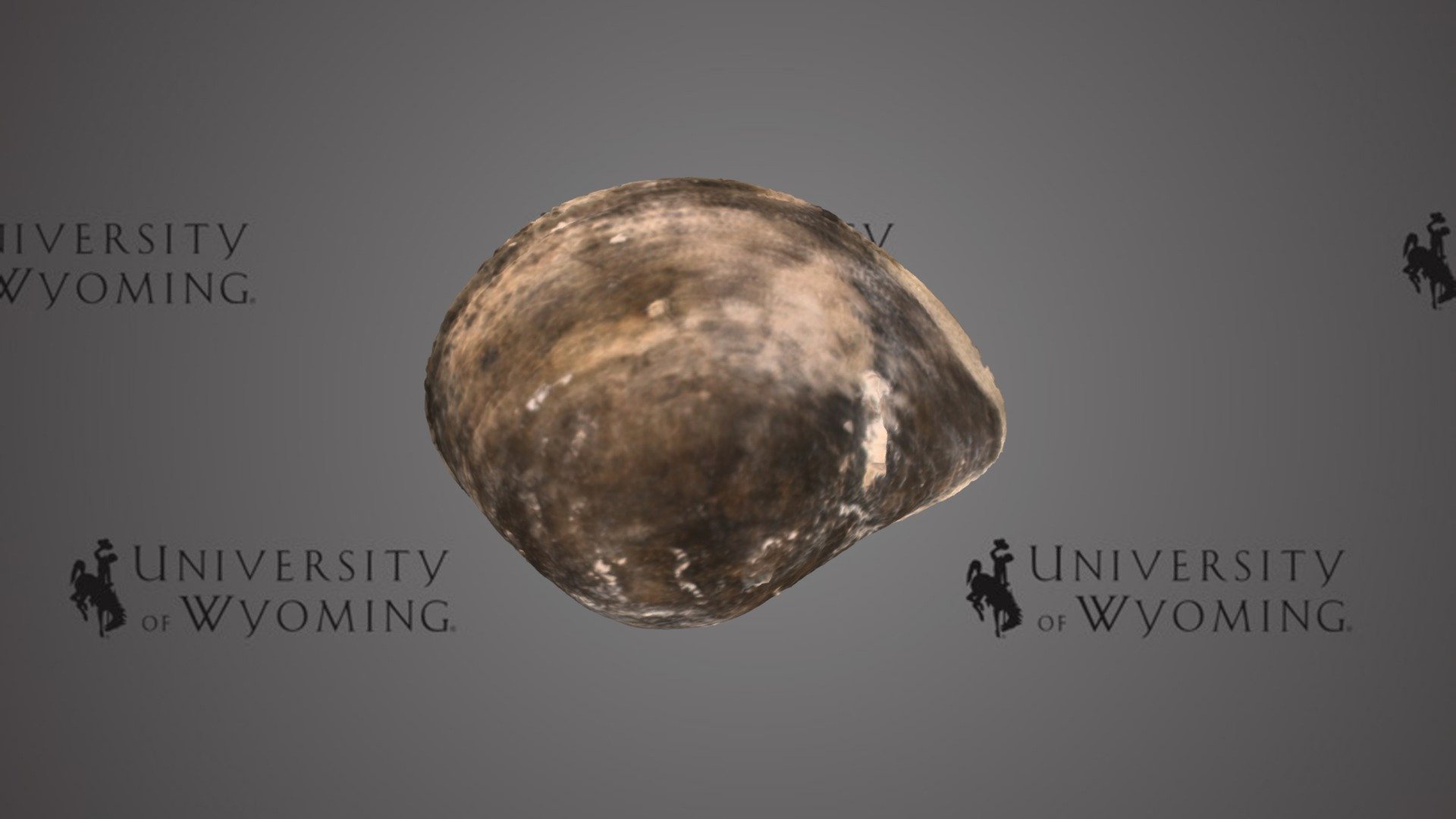 UWG A412 A