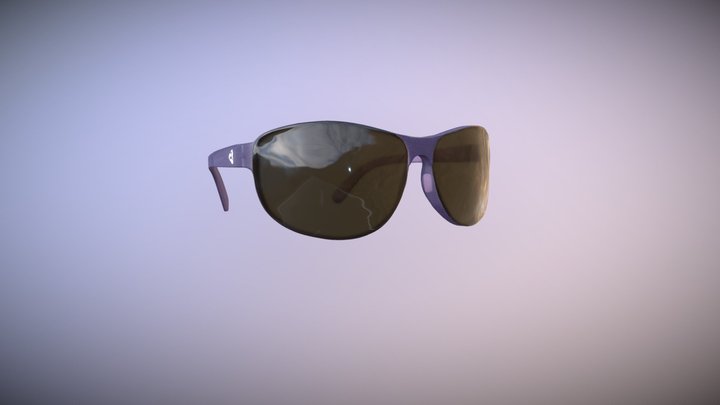 Ryders Cachette Eyewear 3D Model