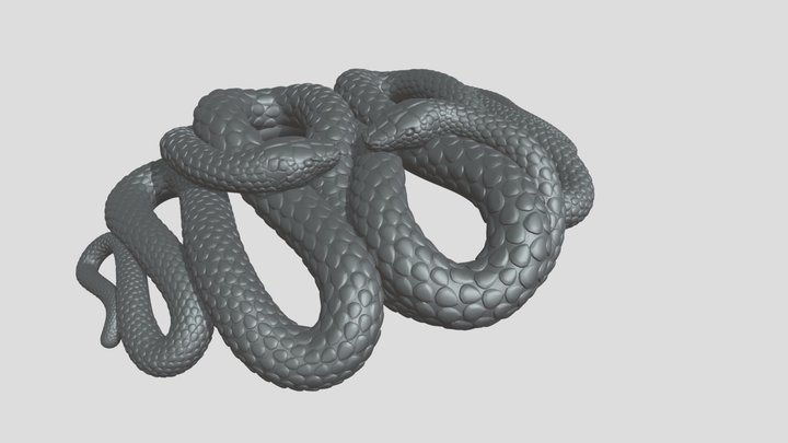 Snakes 3D Model