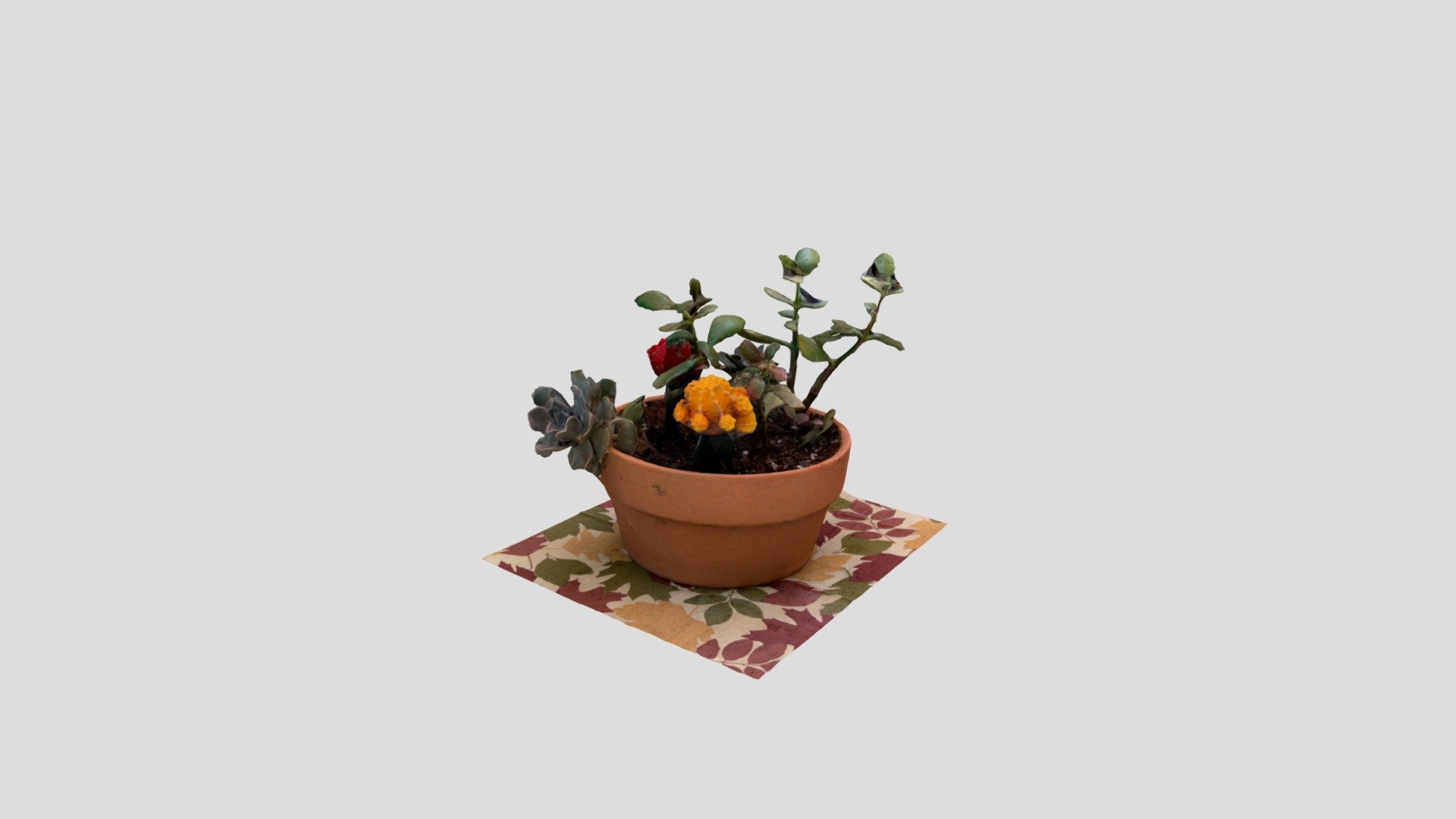 Plant