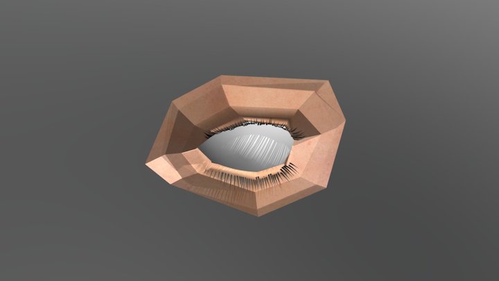 Eye 3D Model