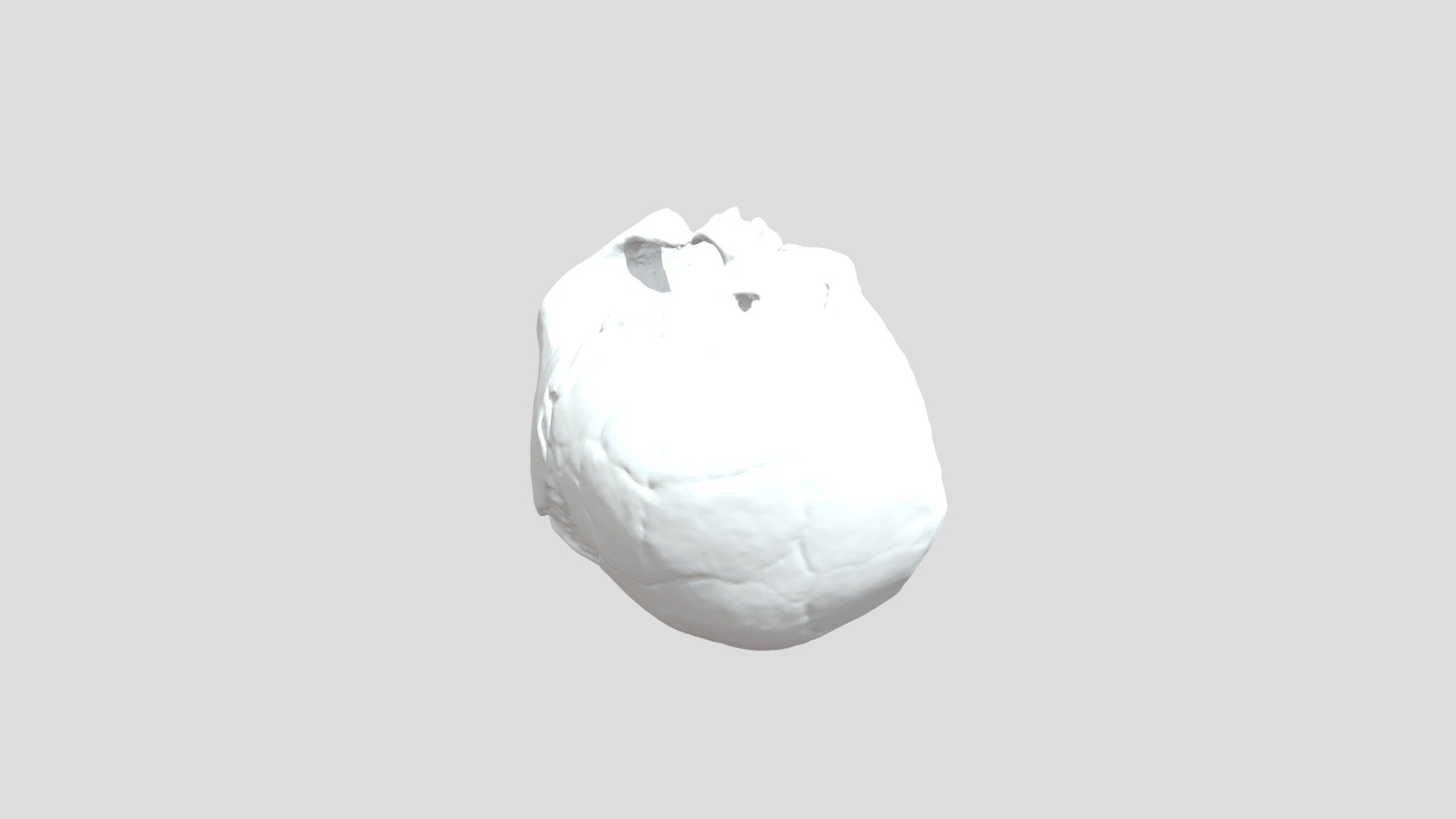 Homo-floresiensis-skull