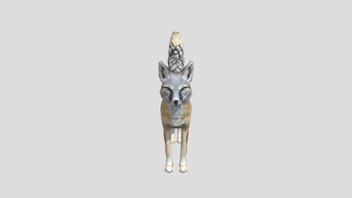 Corsac Fox – Modello 3D gratuito STL