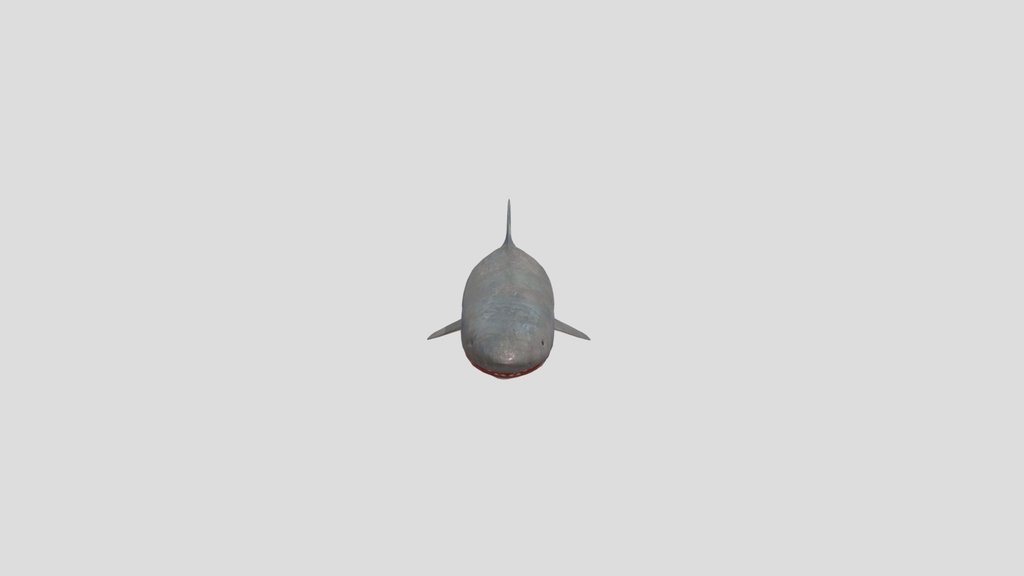 Bloody Bull Shark Animated