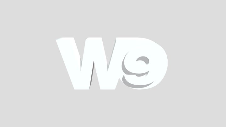 W9 3D Model