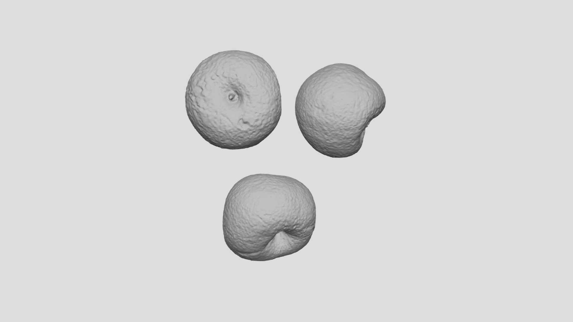 Selected Wild Apples Scan