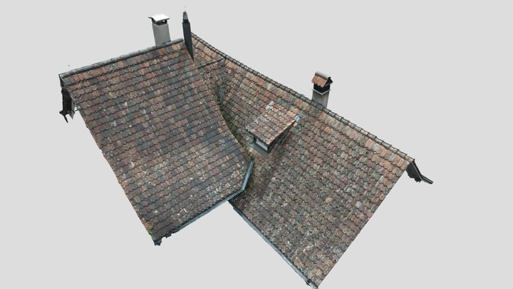 Photogrammetry of an "Beavertail-tiles" roof 3D Model