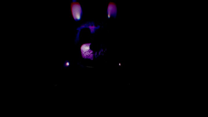 Bonnie