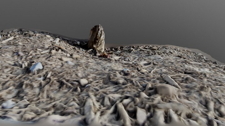 Photoscan Test 3D Model