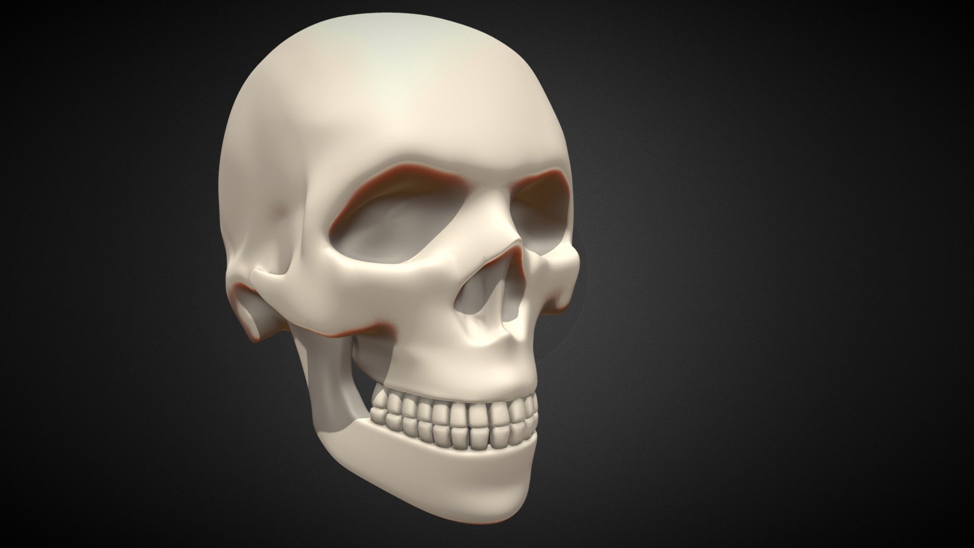 Skull