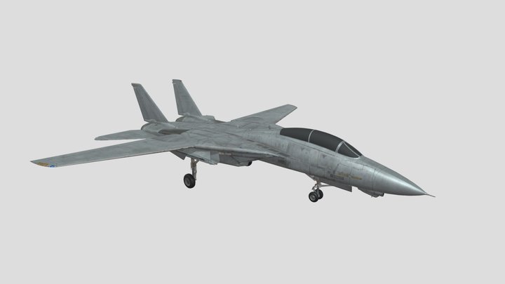 F14 tomcat 3D Model