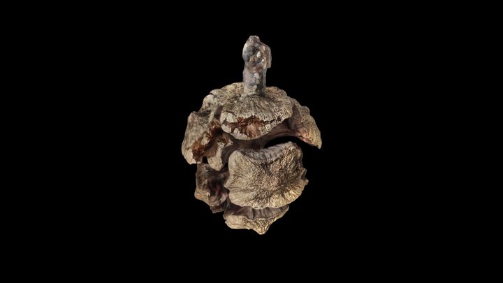 Test1 3D Model