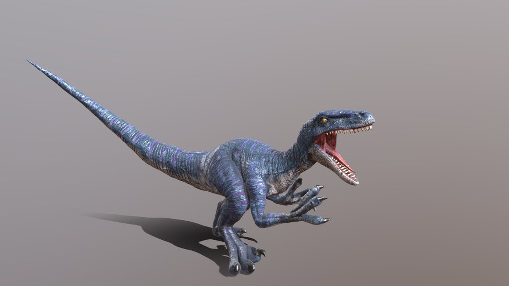 Velociraptor