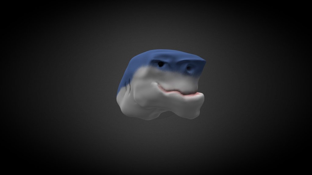 Shark Sculpt Day 1