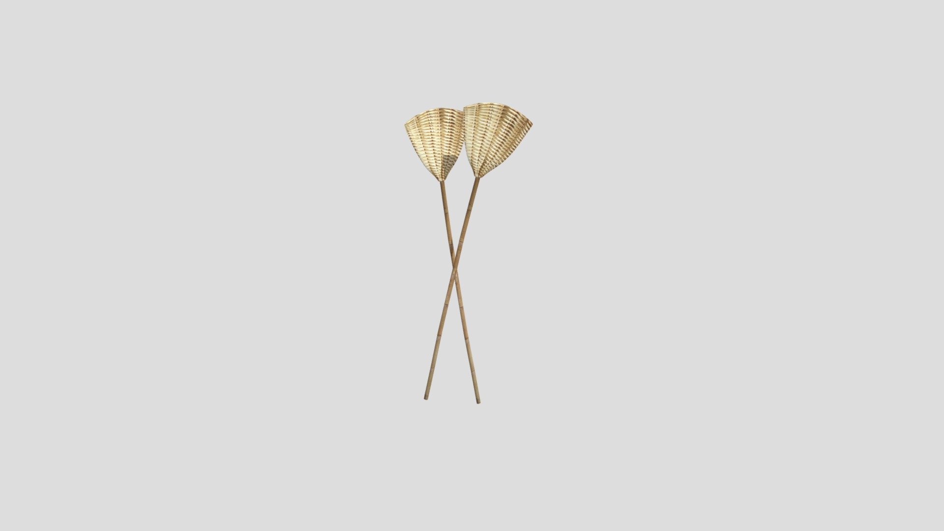 Rattan Insect