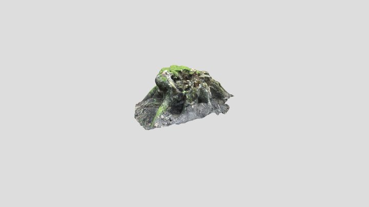 Treestump_SG_1 3D Model