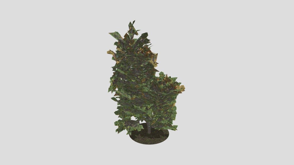 Low Poly Birch Tree
