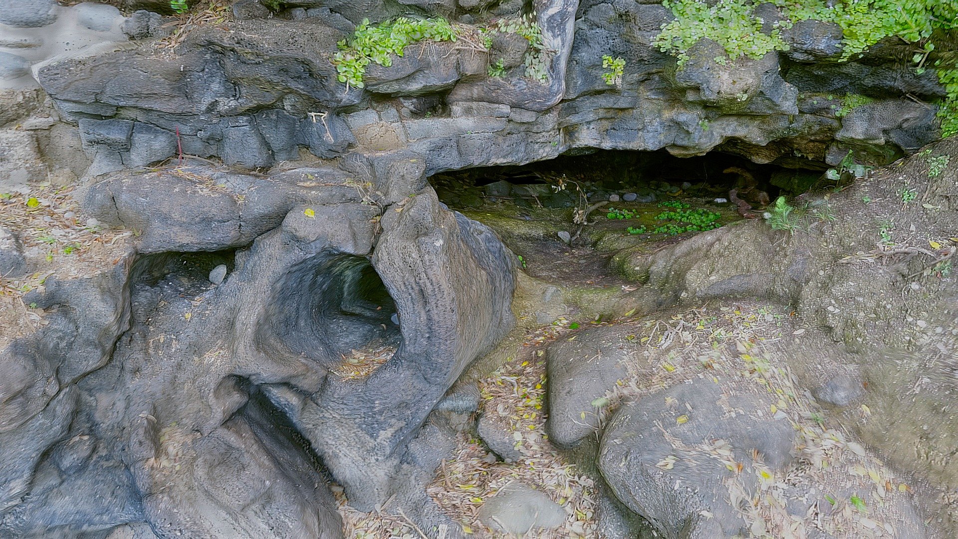 Lava rocks