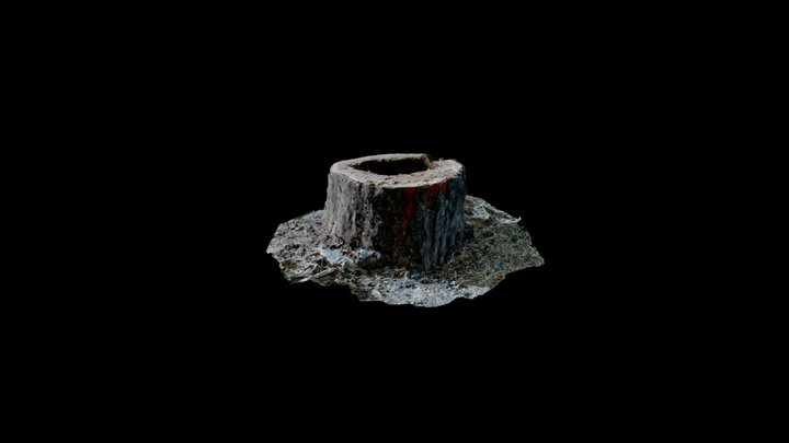 Random Tree Trunk In Paris 3D Model