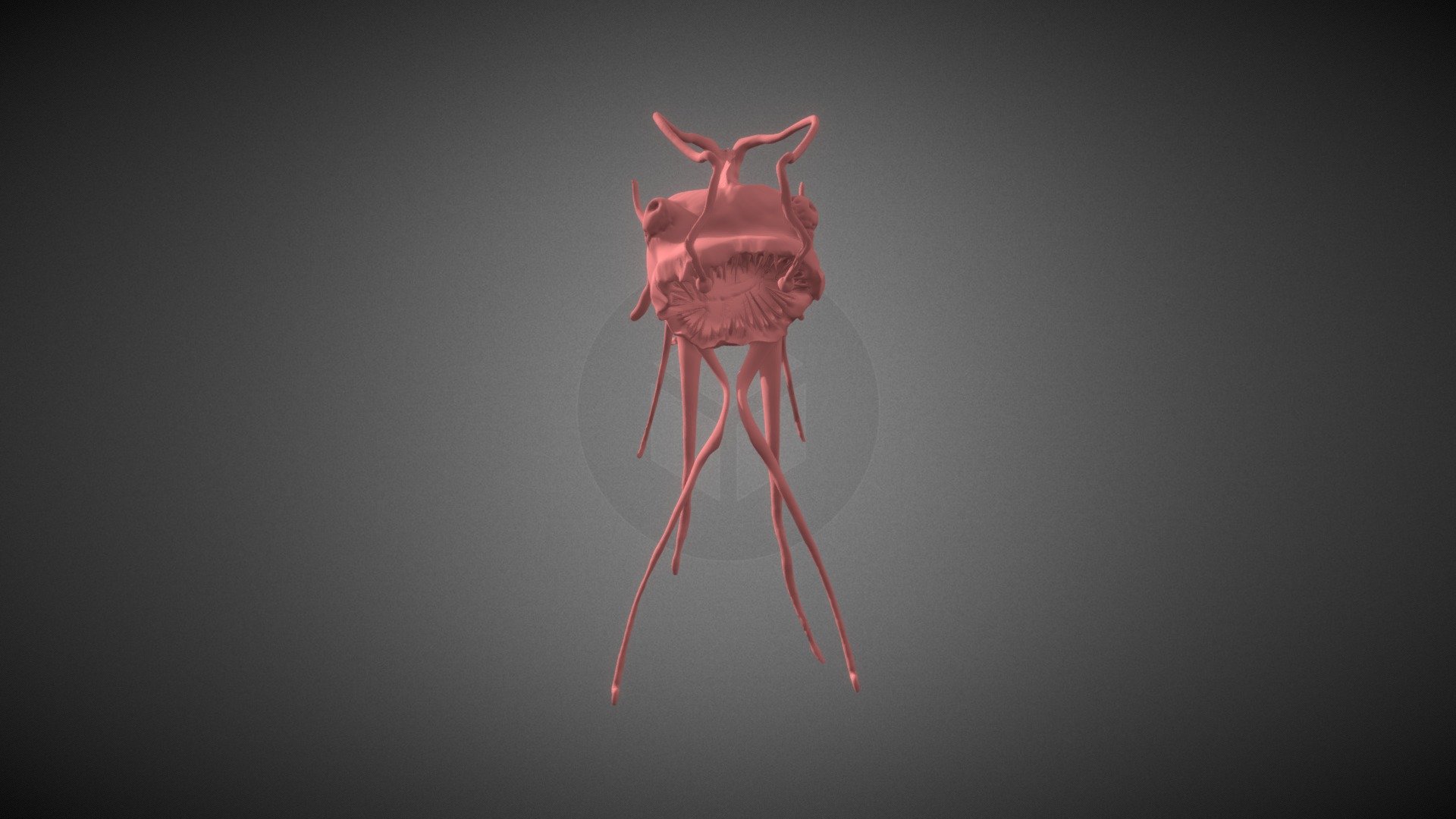Angler Horror