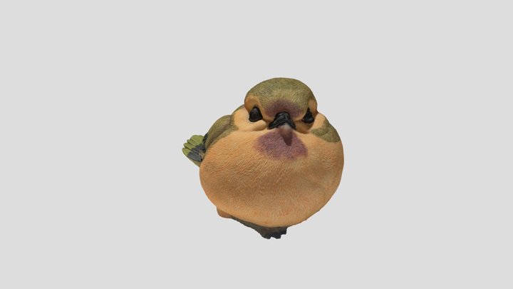 Big Bird_3dScan 3D Model