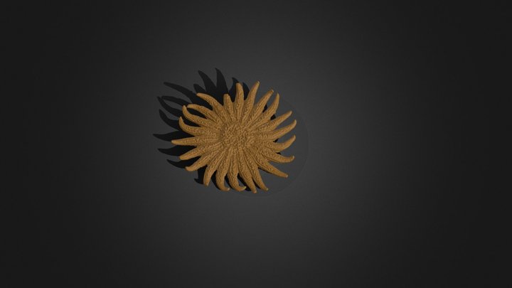 Sunflower Star 3D Model