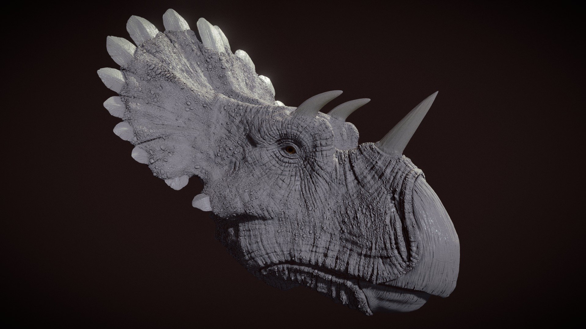 Regaliceratops head detail - Download Free 3D model by Julian Johnson-Mortimer (@FreddyFoxFreddy ...