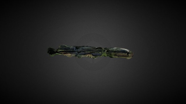 Tomari 3D Model