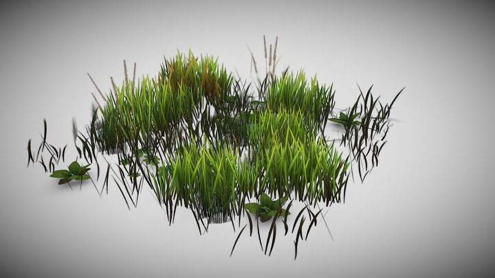 grass_patch 3D Model
