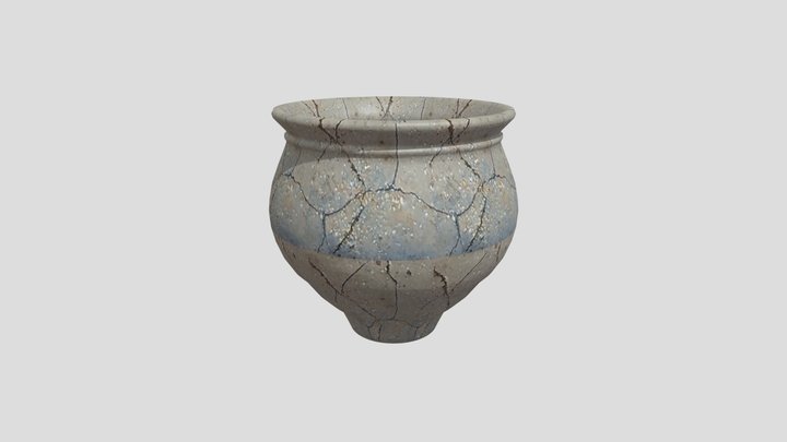 CTM1 112 3D Model