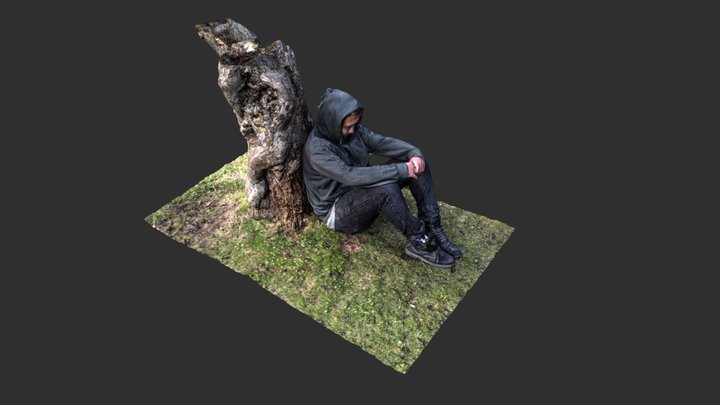 Resting Tree 3D Model
