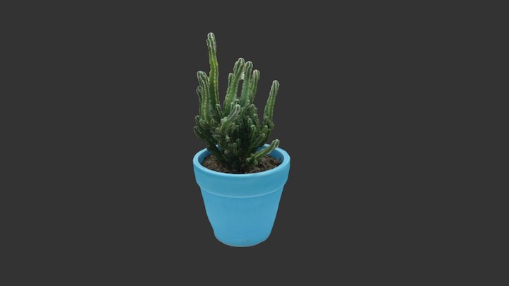 仙人掌 3D Model
