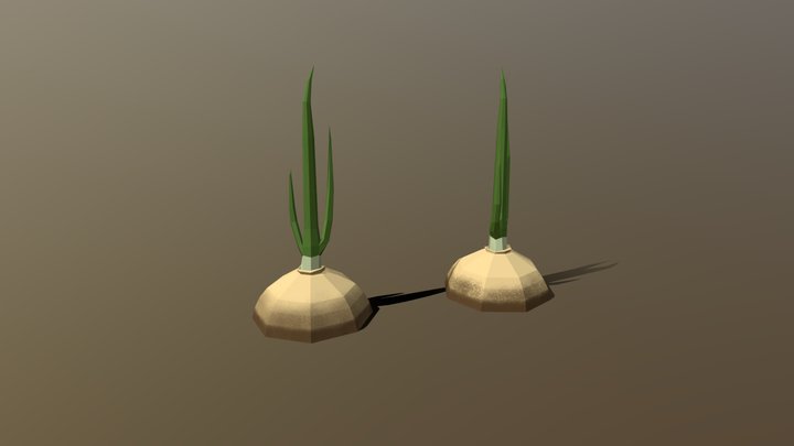 Low Poly Onions 3D Model