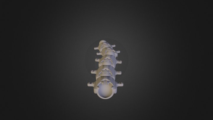 Cbfghbfghfjngfgggggggggg 3D Model