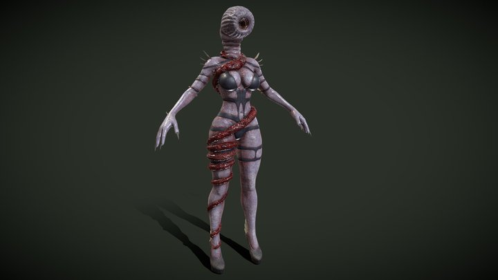 Female Leech 3D Model