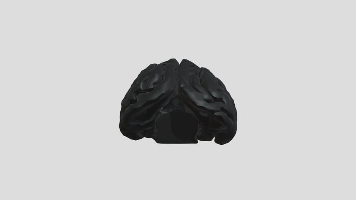 Leopard Brain 3D Model