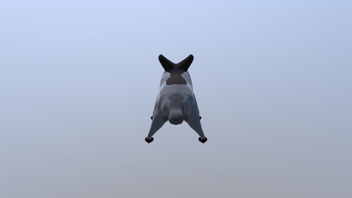 Possum 3D Model